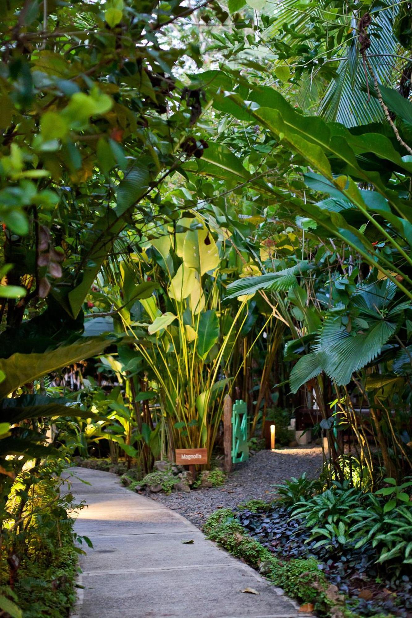 Hotel Aguas Claras Member Of The Cayuga Collection Puerto Viejo de Talamanca Eksteriør bilde
